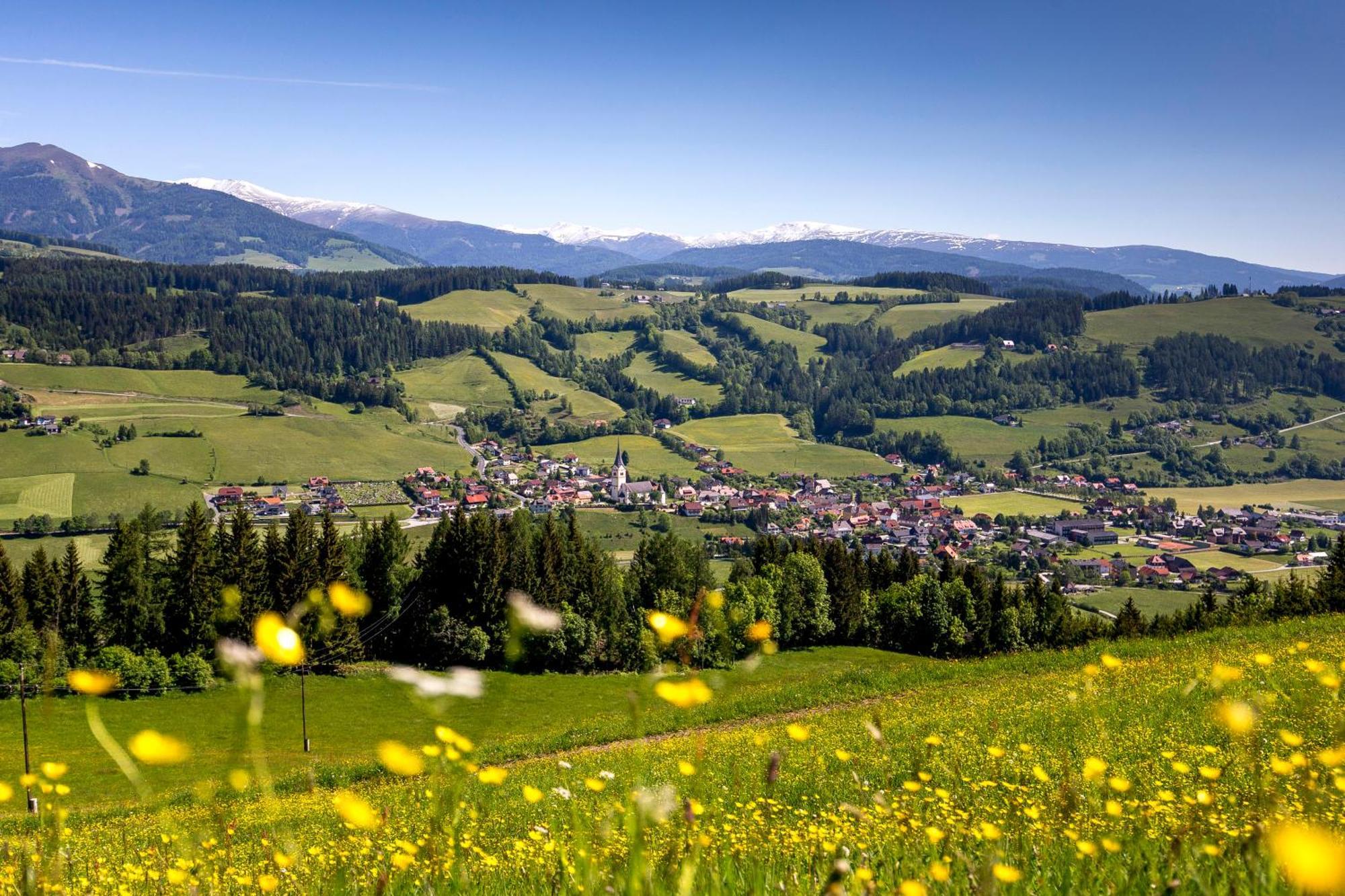 Feriendorf Murau By Alps Resorts المظهر الخارجي الصورة