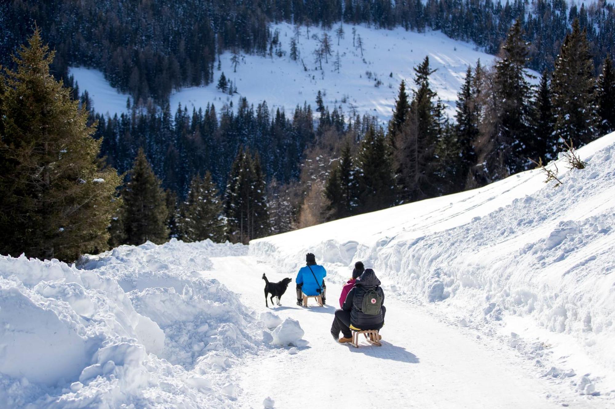 Feriendorf Murau By Alps Resorts المظهر الخارجي الصورة